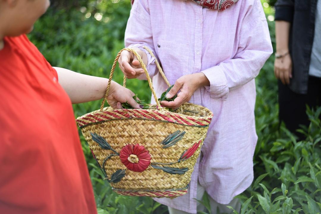 رزرو آنلاین تجربه چیدن و خشک کردن چای