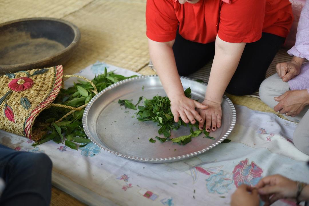 رزرو آنلاین تجربه چیدن و خشک کردن چای