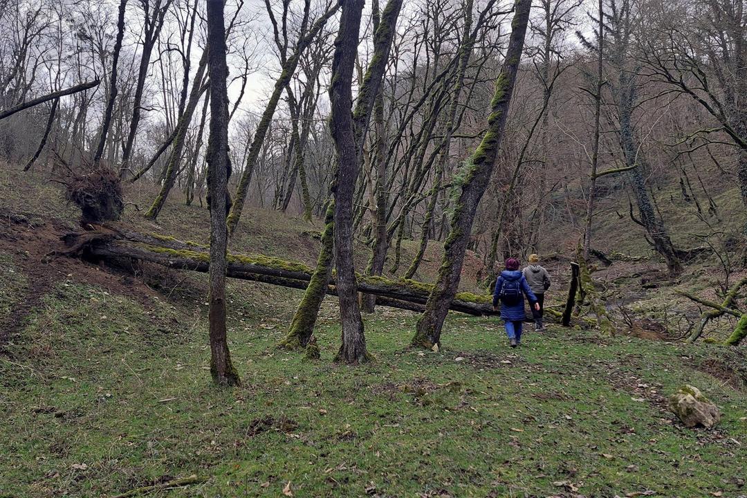 رزرو آنلاین گشت نیم روزه هفت آبشار تیرکن