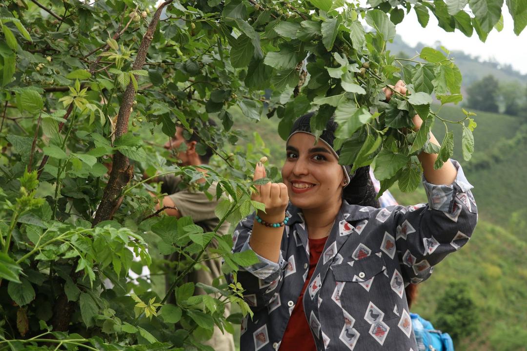 رزرو آنلاین پرسه در ارتفاعات و عبور از روستاهای بکر