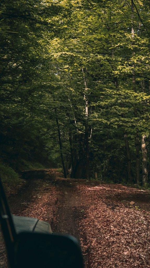 رزرو آنلاین تجربه آبشارگردی در دریابن اسالم با علی