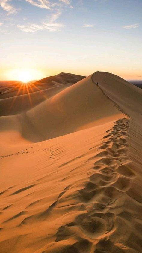رزرو آنلاین تجربه سافاری در كوير فهرج یزد