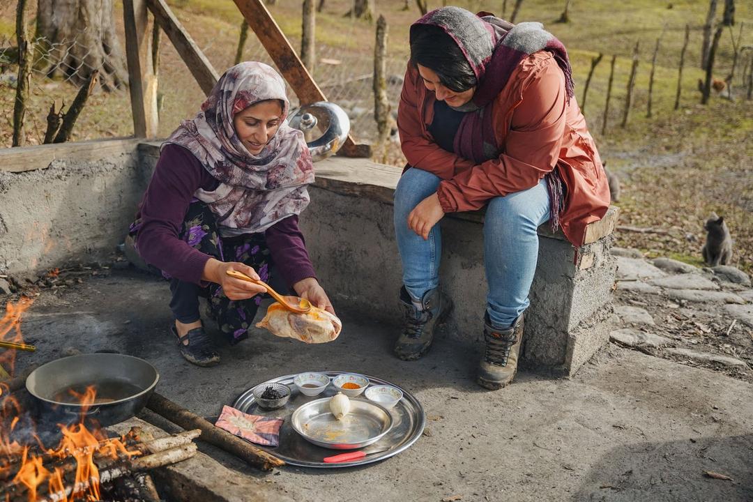 تجربه پخت سیکا شکم‌پر در طبیعت سوادکوه