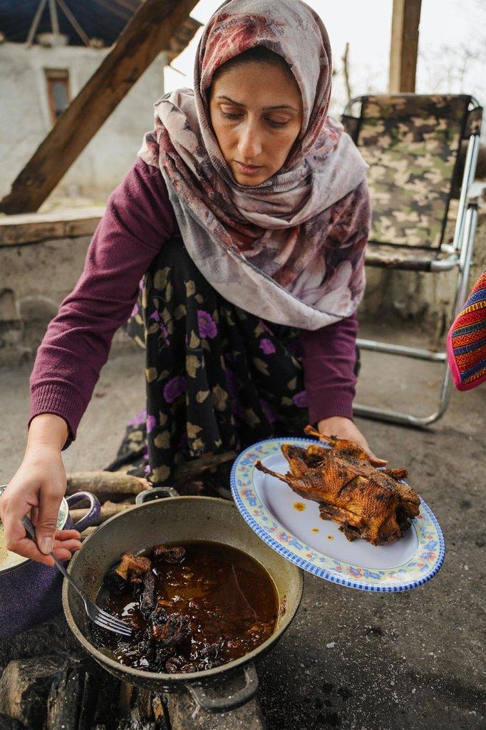تجربه پخت سیکا شکم‌پر در طبیعت سوادکوه