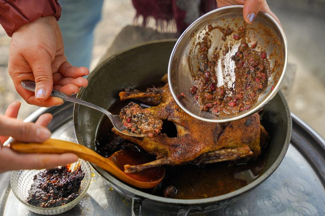 تجربه پخت سیکا شکم‌پر در طبیعت سوادکوه