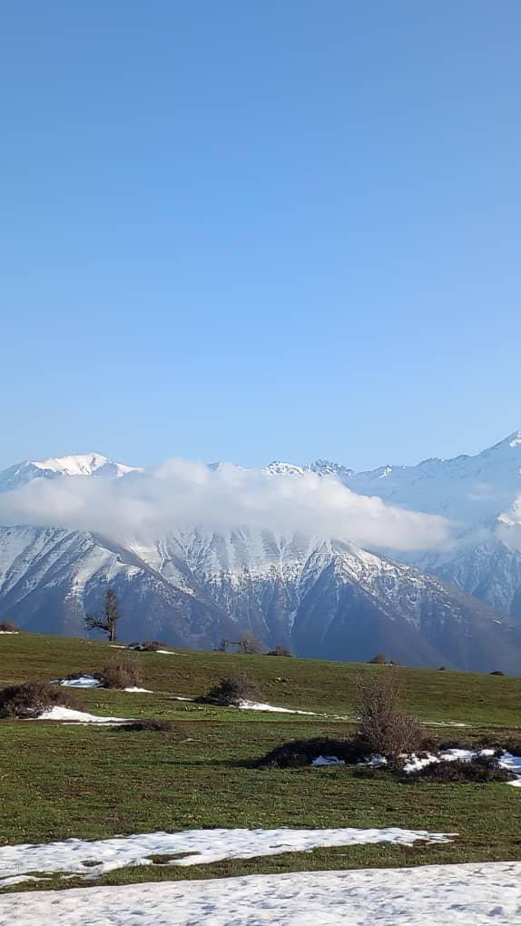 رزرو آنلاین سافاری در جنگل مازیچال