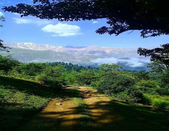 رزرو آنلاین سافاری در جنگل مازیچال