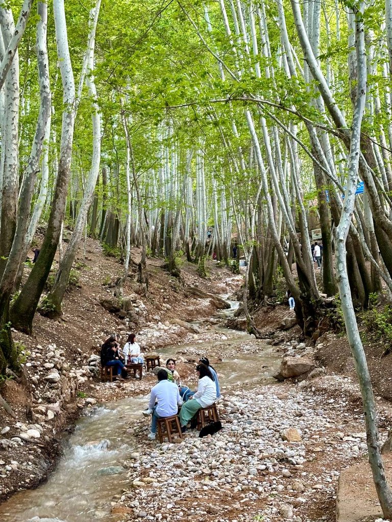 رزرو آنلاین پیاده‌گردی در قلات، ییلاق خنک شیراز