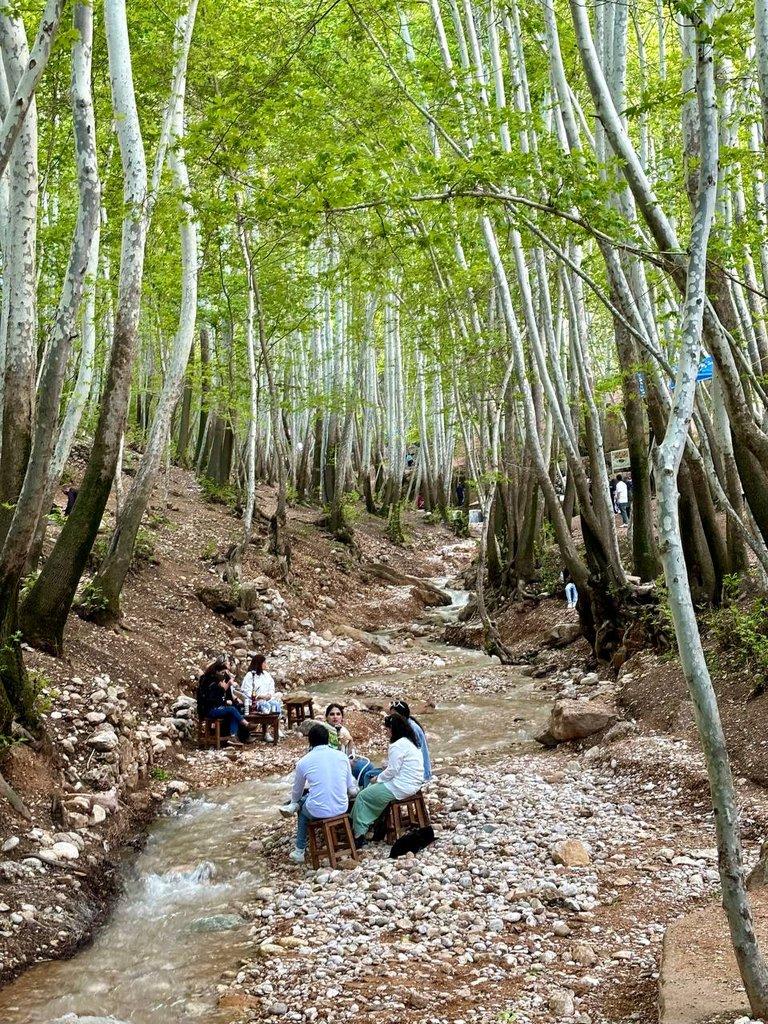 رزرو آنلاین پیاده‌گردی در قلات، ییلاق خنک شیراز