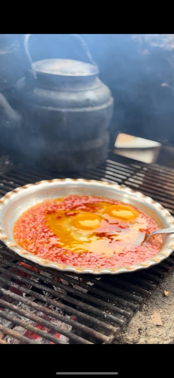 رزرو آنلاین تجربه پخت نان و صبحانه محلی در مزرعه آفتابگردان گرگان