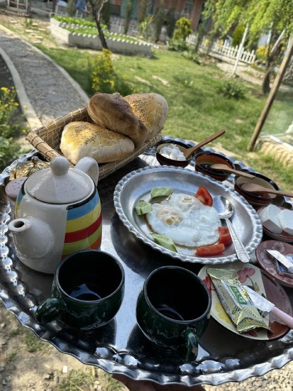 رزرو آنلاین تجربه پخت نان و صبحانه محلی در مزرعه آفتابگردان گرگان