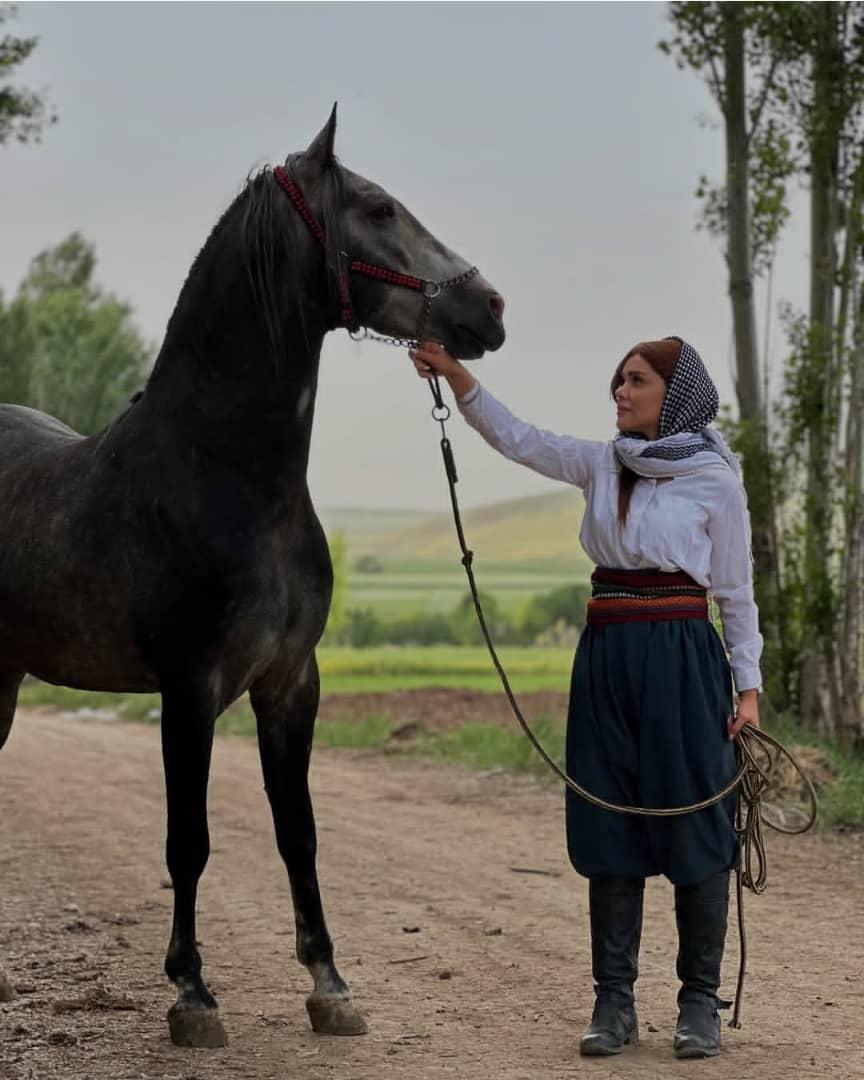 رزرو آنلاین تجربه بوکان‌گردی با رنوس