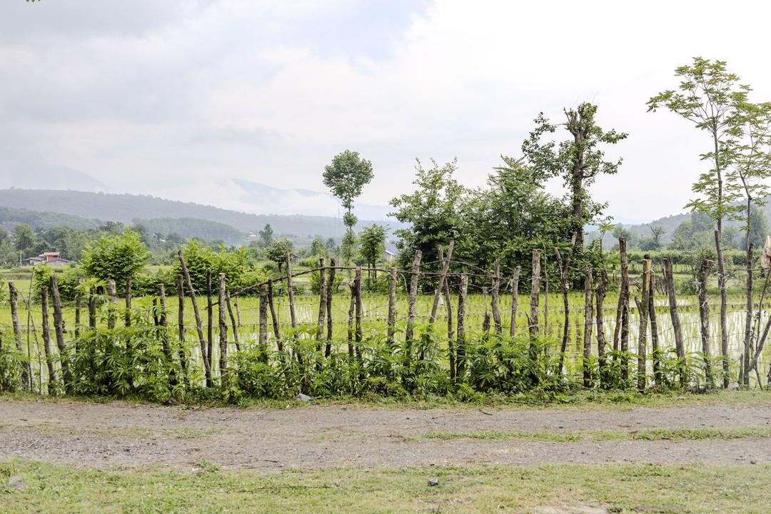 یک شب کمپ و ماجراجویی در روستای فلکده