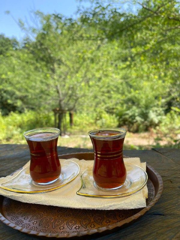 رزرو آنلاین تجربه دوچرخه سواری در جنگل‌های سه‌هزار