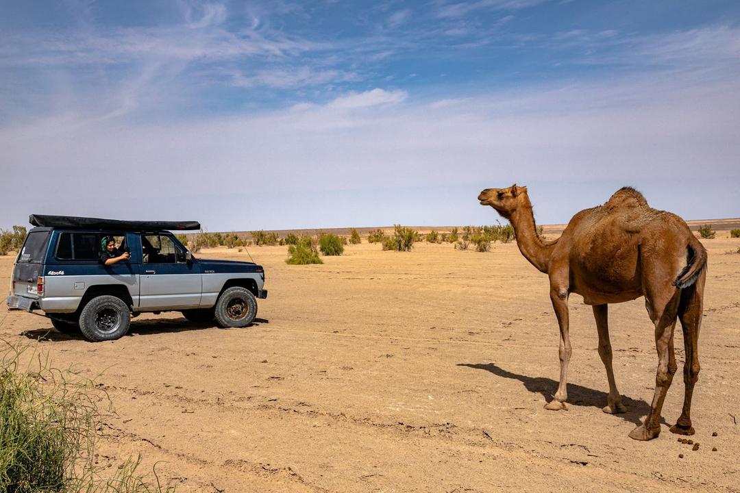 رزرو آنلاین آفرود کویر ابوزیدآباد و نخلستان چاه عروس