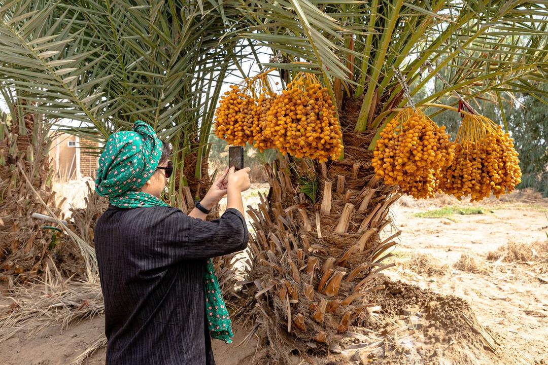 رزرو آنلاین آفرود کویر ابوزیدآباد و نخلستان چاه عروس