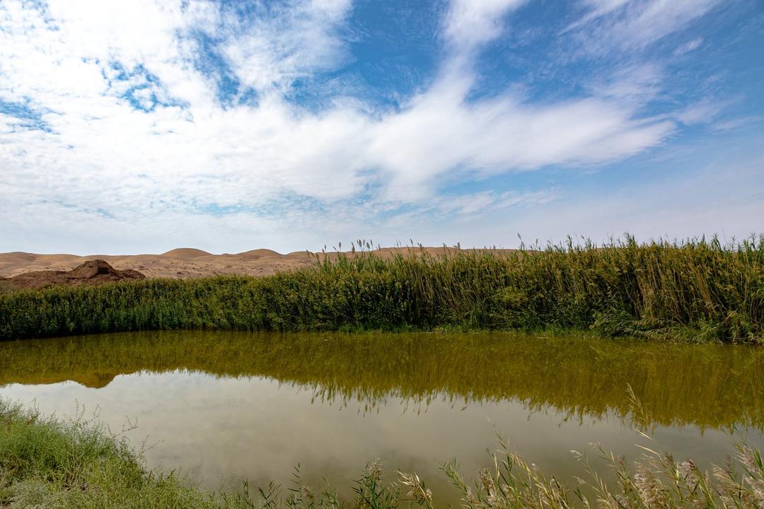 رزرو آنلاین آفرود کویر ابوزیدآباد و نخلستان چاه عروس