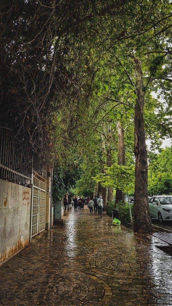 رزرو آنلاین گشت‌وگذار در سوغات‌سرا و بازار شیراز