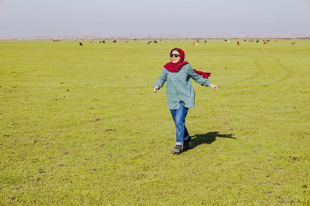 رزرو آنلاین گیلانگردی در جیرسرباقرخاله و رشت