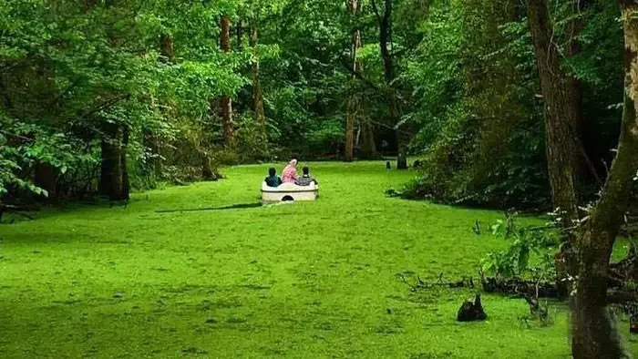 رزرو آنلاین گیلانگردی در سراوان و رشت