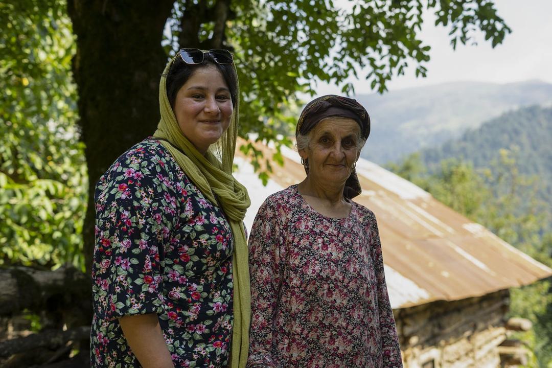رزرو آنلاین بکرگردی در جنگل‌های ماسال