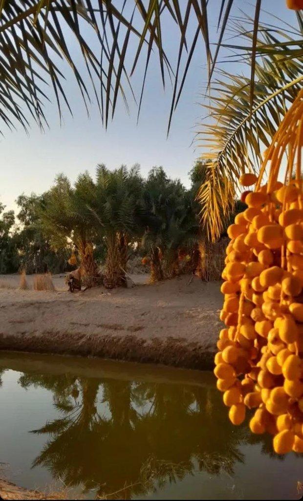 رزرو آنلاین کویرگردی کاشان با چاشنی هیجان آفرود و آرامش کویر