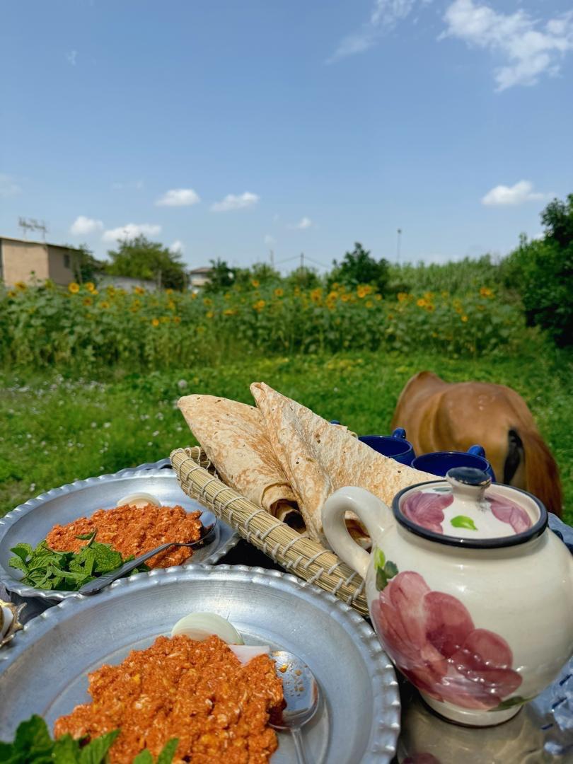 رزرو آنلاین بازدید از مزرعه آفتاب‌گردان گرگان