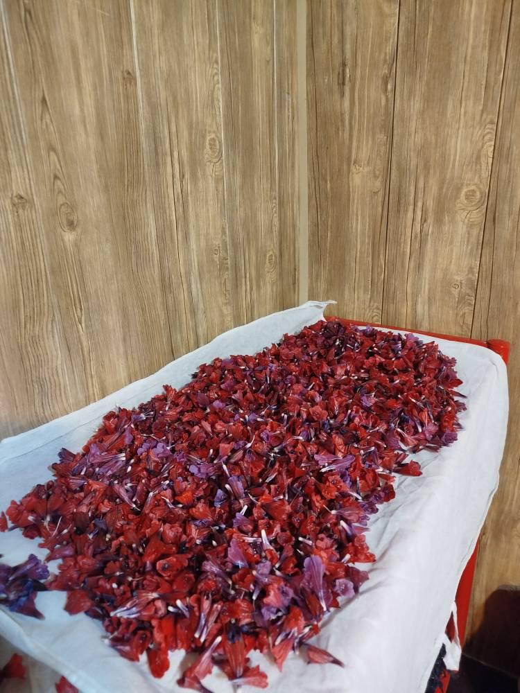 رزرو آنلاین تجربه اقامت و زندگی محلی در آلاشت