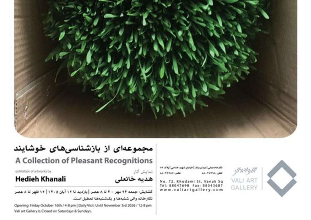 نمایشگاه هدیه خانعلی با نام مجموعه‌ای از بازشناسی‌های خویشاوند