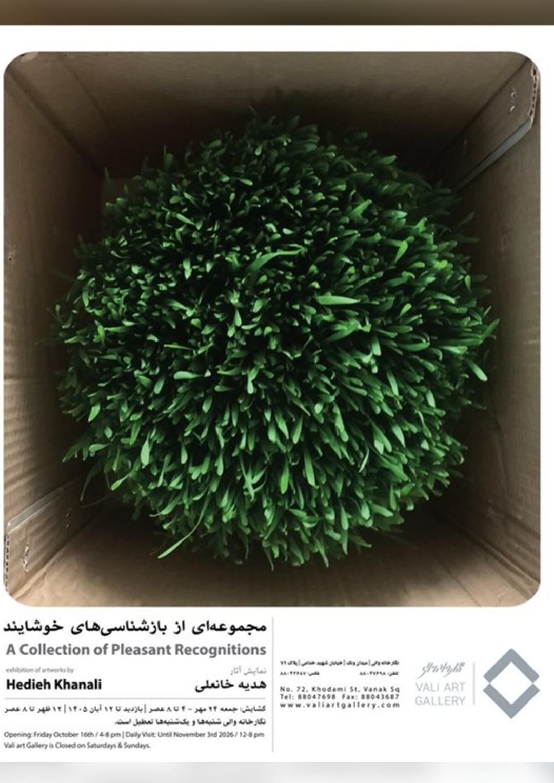 نمایشگاه هدیه خانعلی با نام مجموعه‌ای از بازشناسی‌های خویشاوند