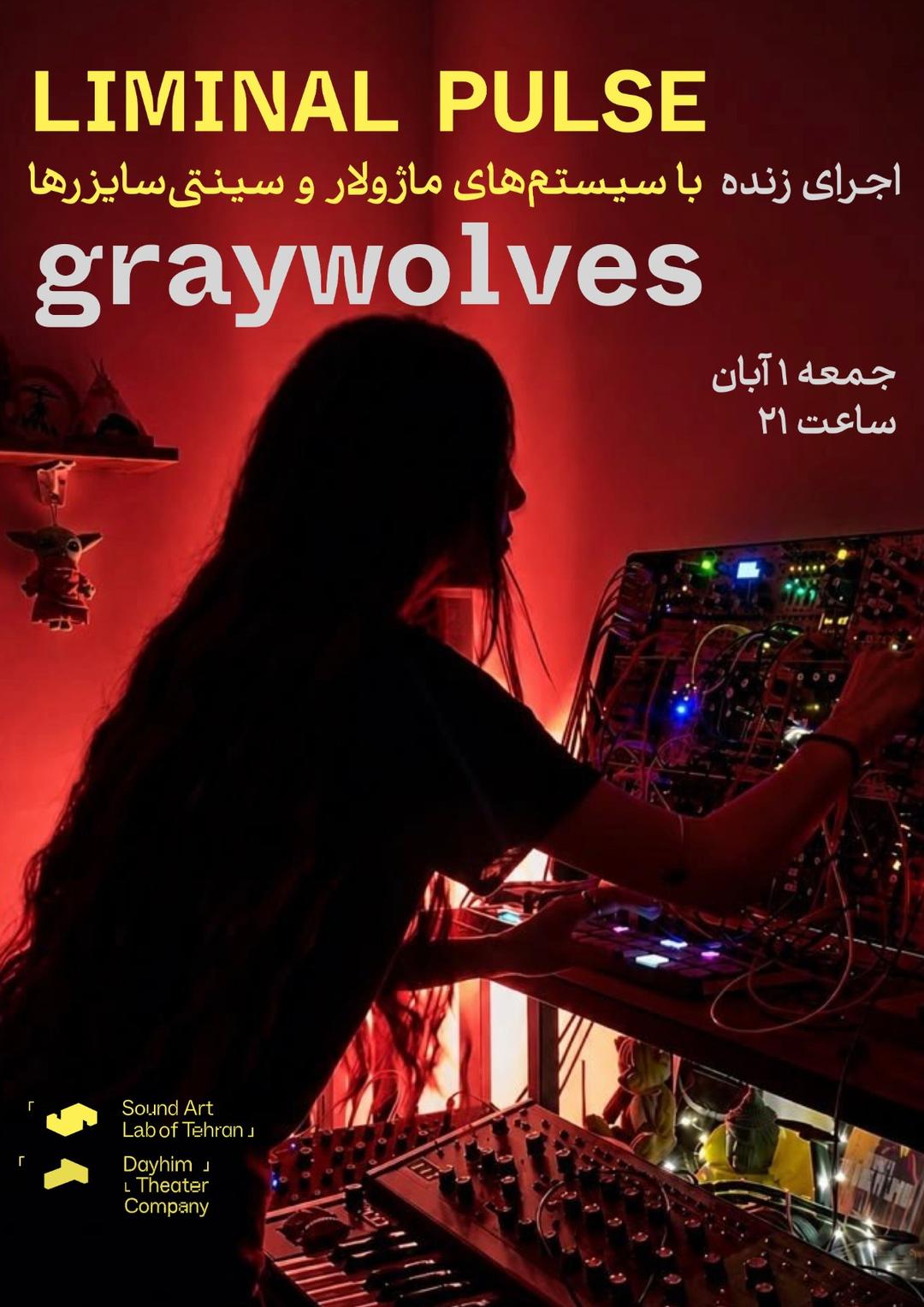 اجرای زنده graywolves با سیستم ماژولار و سینتی‌سایزرها