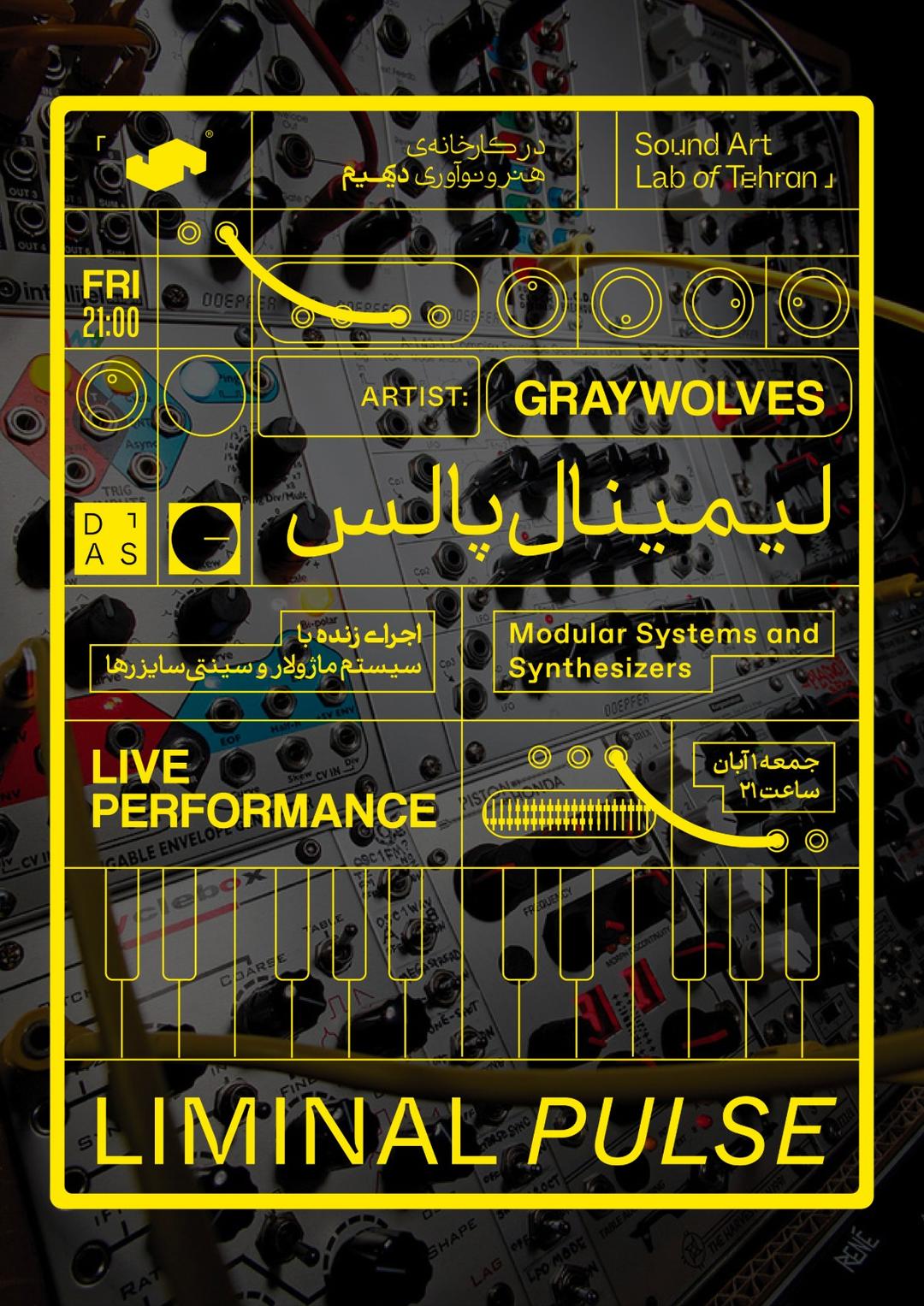 اجرای زنده graywolves با سیستم ماژولار و سینتی‌سایزرها