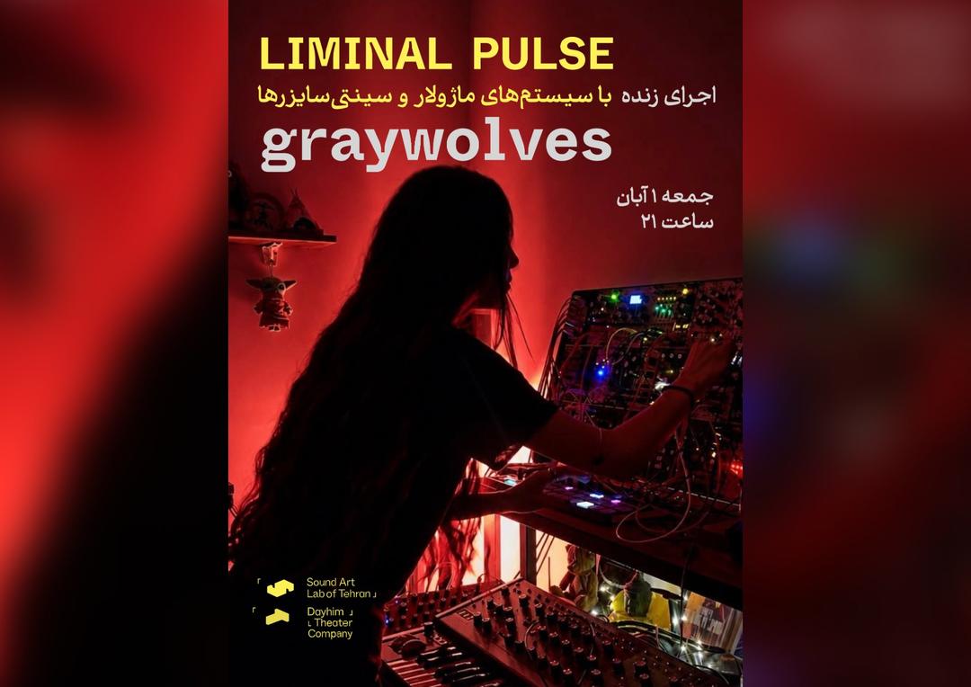 اجرای زنده graywolves با سیستم ماژولار و سینتی‌سایزرها